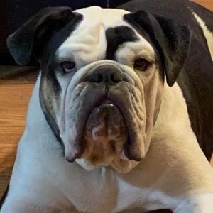 Meet your Posher, Cathy